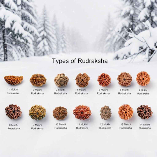 Lucky Rudraksha For Me