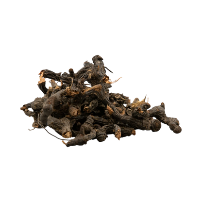 Heap of dried nagarmotha roots on a white background