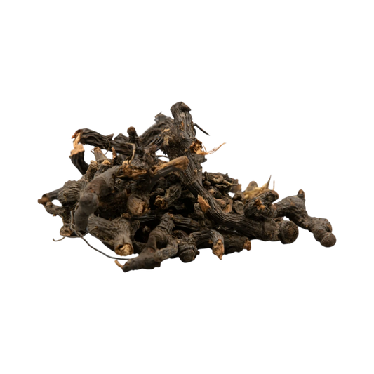 Heap of dried nagarmotha roots on a white background