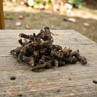 Dried nagarmotha jadi on a wooden surface with a blurred natural background