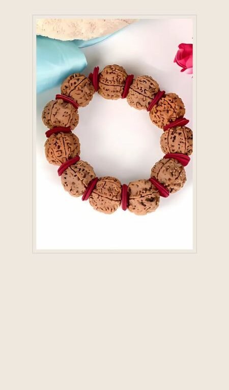 rudraksha